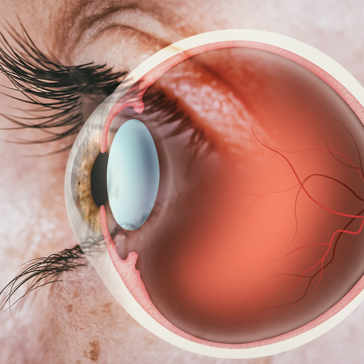 Drishtipath Eye Hospital