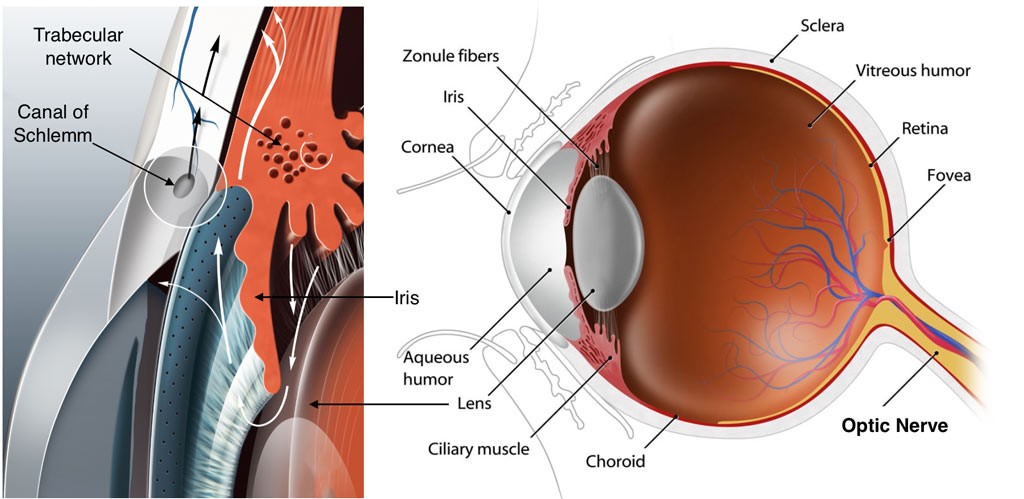 Drishtipath Eye Hospital