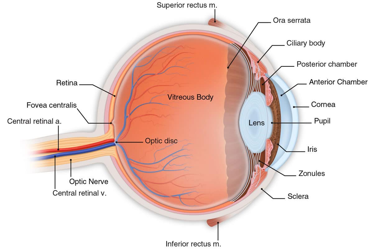 Cataract Treatment